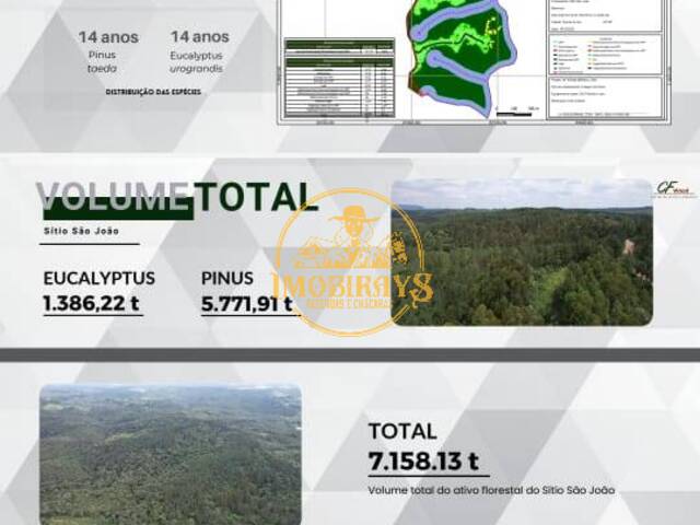 #30 - Fazenda para Venda em Tijucas do Sul - PR - 1