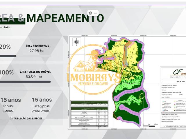 #30 - Fazenda para Venda em Tijucas do Sul - PR - 2