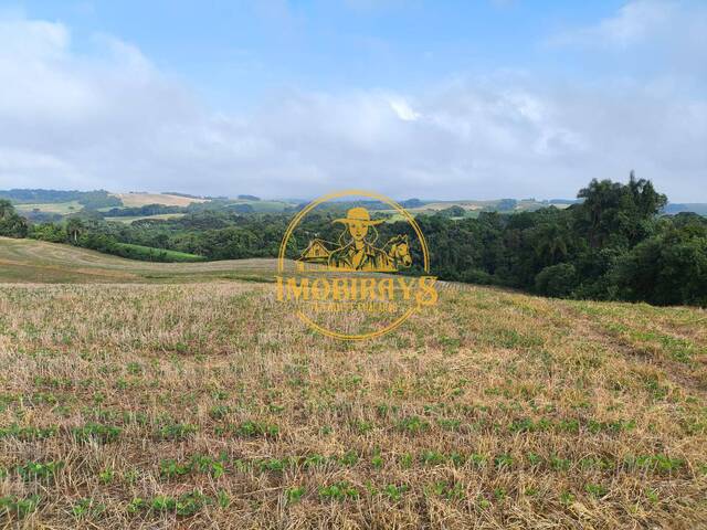 Chácara para Venda em Araucária - 1