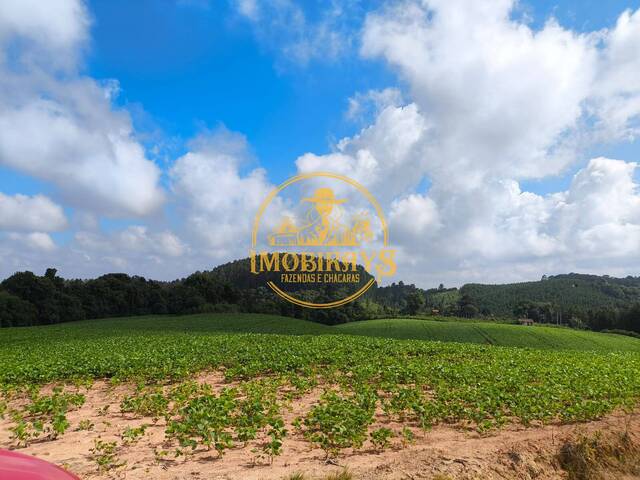 Chácara para Venda em Mandirituba - 2
