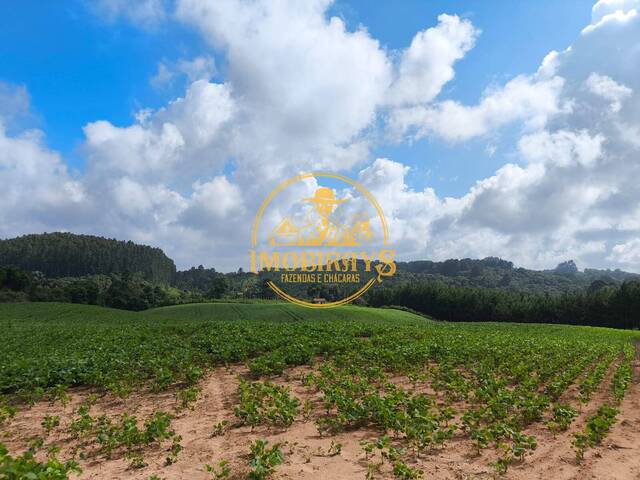 Chácara para Venda em Mandirituba - 4
