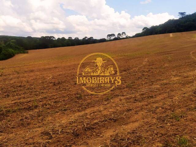 #19 - Fazenda para Venda em Lapa - PR - 1