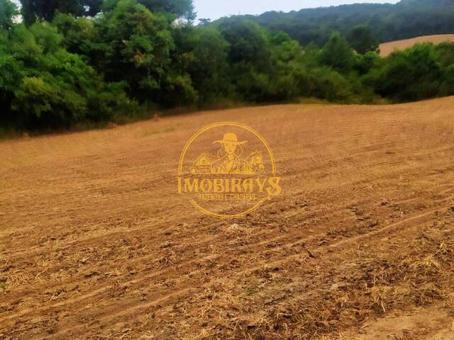 #19 - Fazenda para Venda em Lapa - PR - 3