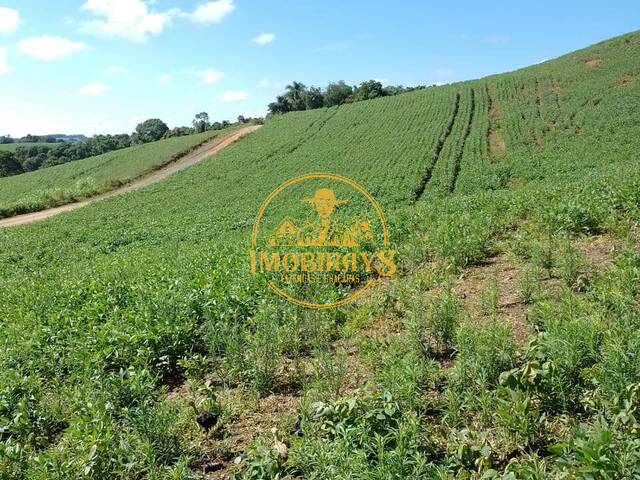 Venda em MARIENTAL /  CARACOL - Lapa
