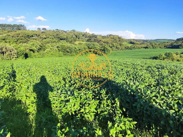 #57 - Chácara para Venda em Lapa - PR - 2