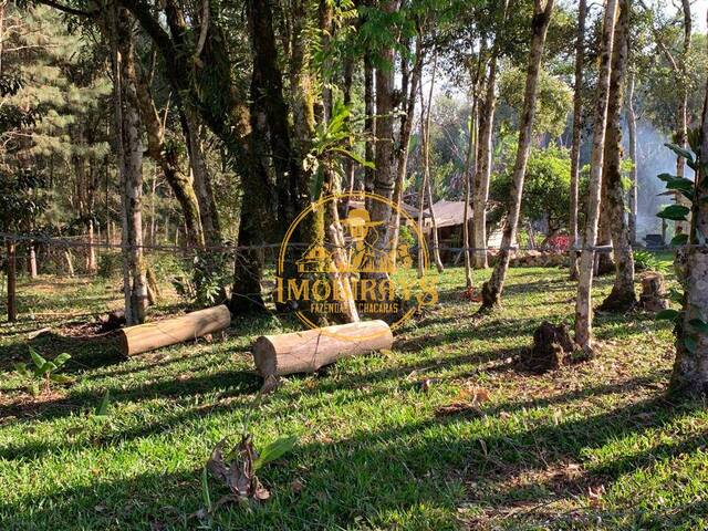 #23 - Chácara para Venda em São José dos Pinhais - PR - 2