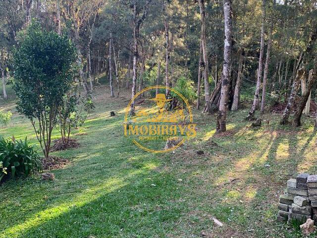 Chácara para Venda em São José dos Pinhais - 5