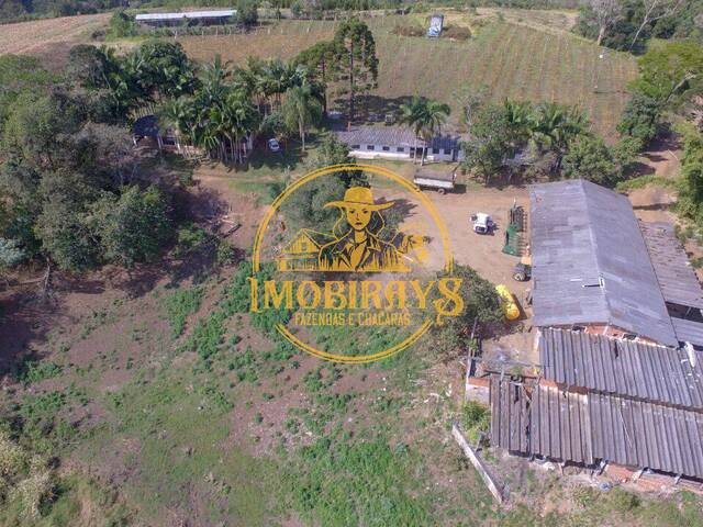 #58 - Fazenda para Venda em Cerro Azul - PR - 3