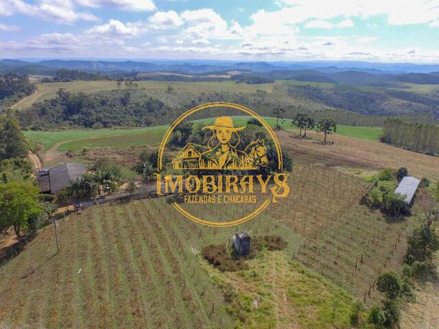 #58 - Fazenda para Venda em Cerro Azul - PR - 1