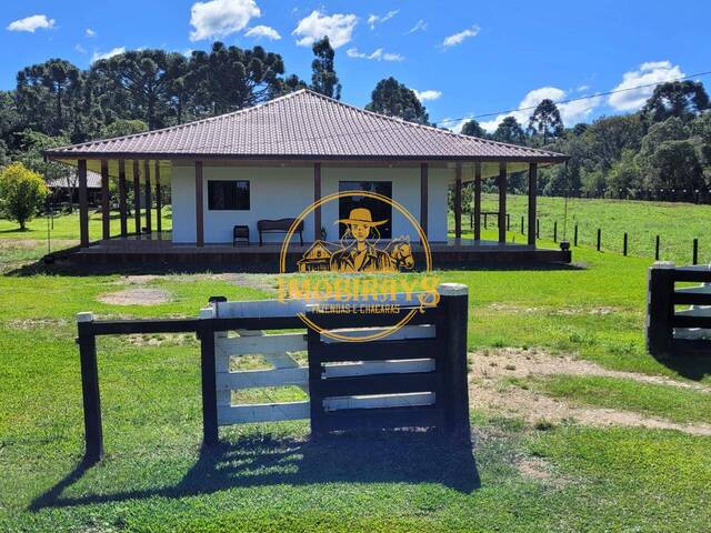 Chácara para Venda em São Mateus do Sul - 4