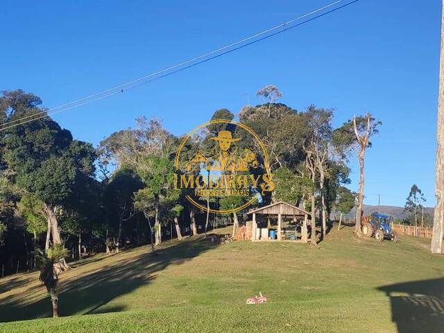 Venda em corrego das pedras - Tijucas do Sul