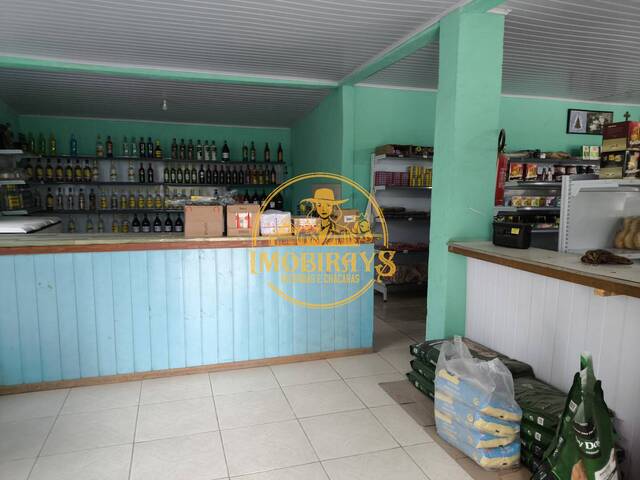 #63 - Chácara para Venda em Lapa - PR - 3