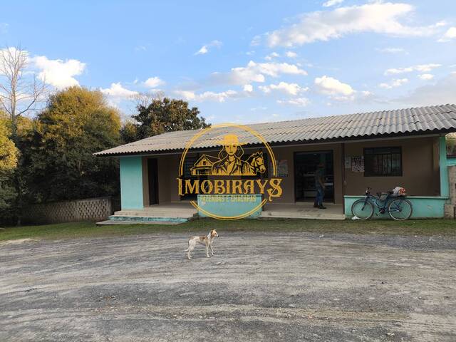 #63 - Chácara para Venda em Lapa - PR - 1